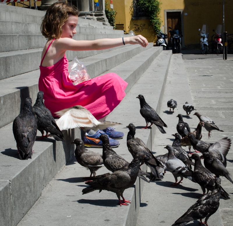 Sydney Feeding Pigeons