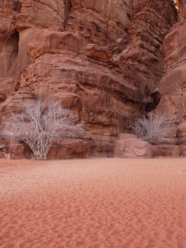 The red sand of Wadi Rum
