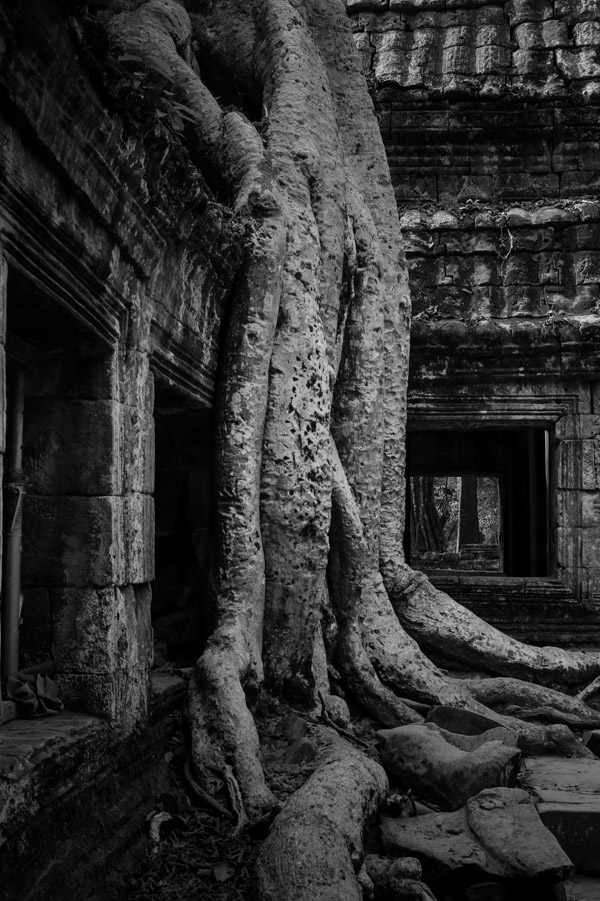 Angkor Wat BW-5
