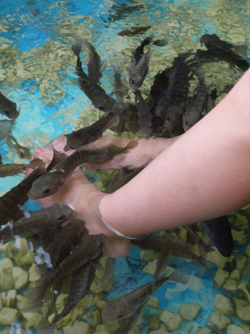 Fish foot massage